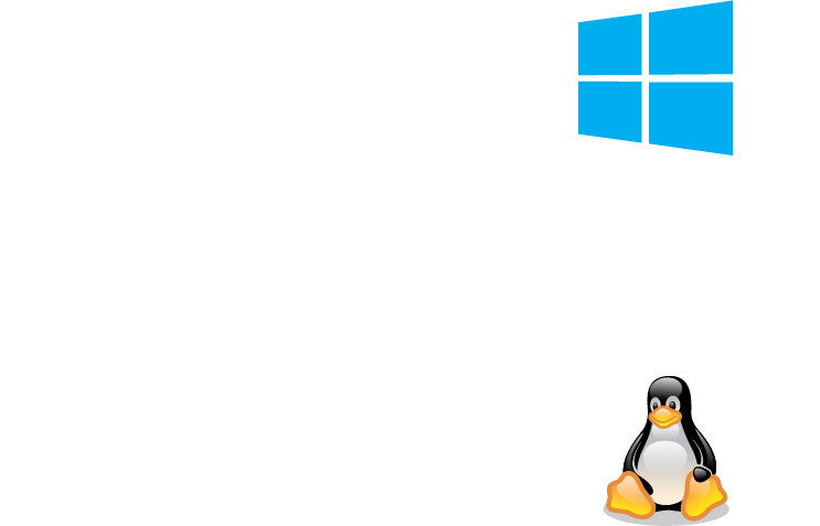 Asset 35