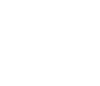 Asset 37
